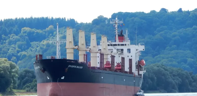 DS SOFIE BULKER Bulk Carrier IMO 9310604 photo 9
