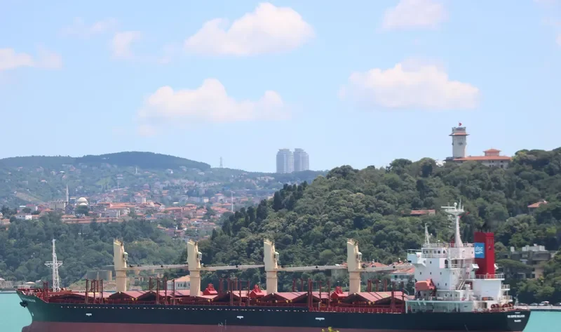 DS SOFIE BULKER Bulk Carrier IMO 9310604 photo 10