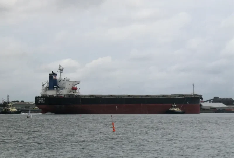 STAR ANGELINA Bulk Carrier IMO 9310630 photo 2