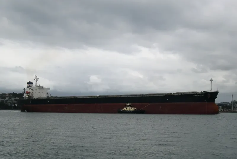 STAR ANGELINA Bulk Carrier IMO 9310630 photo 4