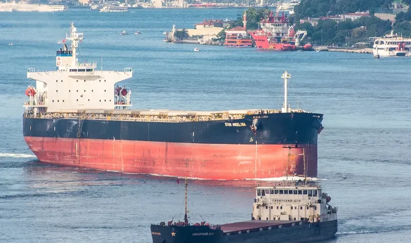 STAR ANGELINA Bulk Carrier IMO 9310630 photo 5