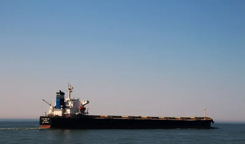 STAR ANGELINA Bulk Carrier IMO 9310630 photo 6