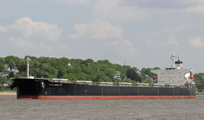 STAR ANGELINA Bulk Carrier IMO 9310630 photo 8