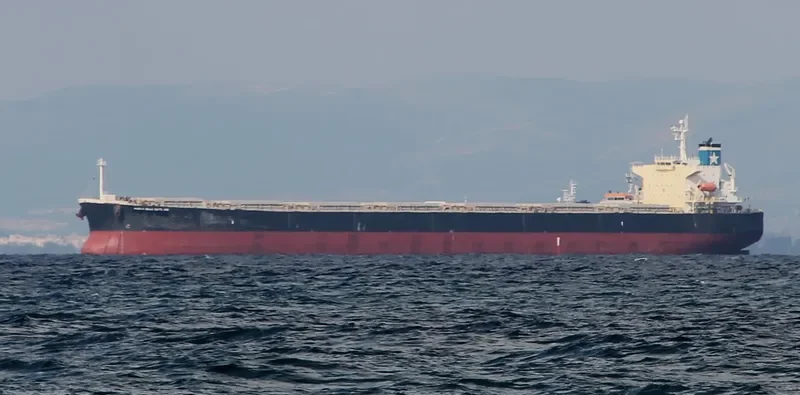STAR ANGELINA Bulk Carrier IMO 9310630 photo 9