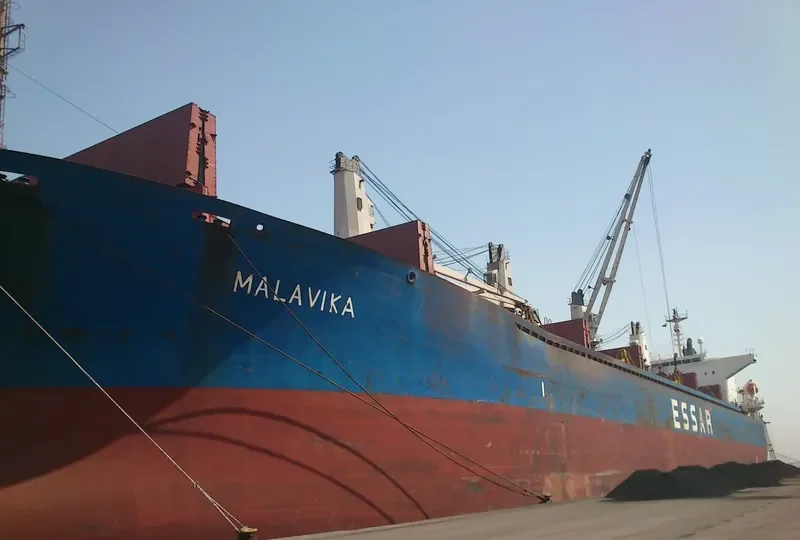AMARNATH Bulk Carrier IMO 9310666