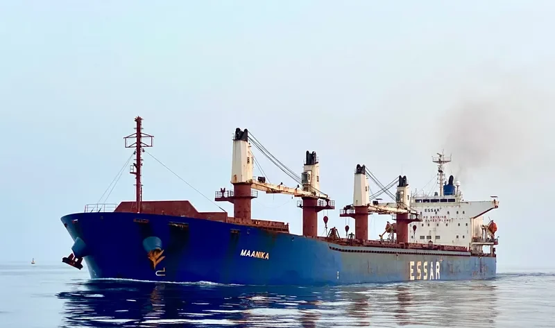 AMARNATH Bulk Carrier IMO 9310666 photo 6