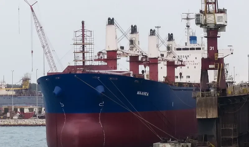 AMARNATH Bulk Carrier IMO 9310666 photo 8