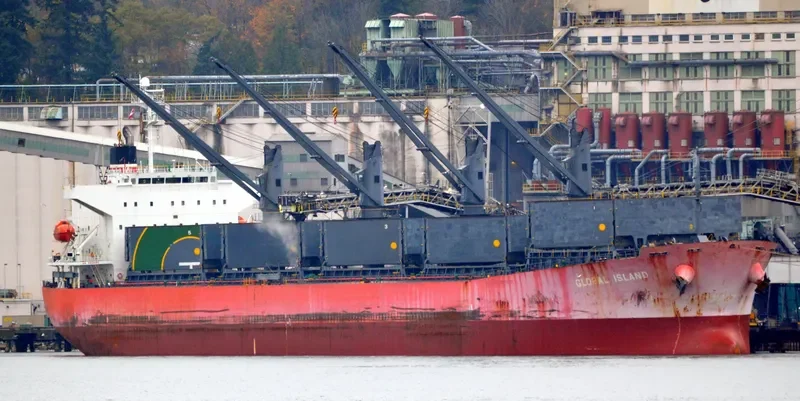 CAPTAIN CHERIF Bulk Carrier IMO 9310678 photo 2