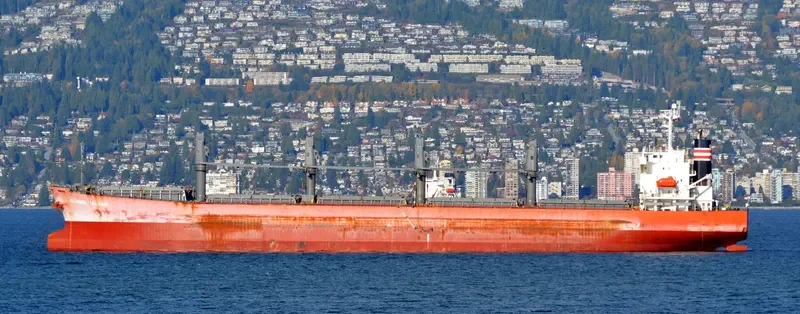 CAPTAIN CHERIF Bulk Carrier IMO 9310678 photo 3