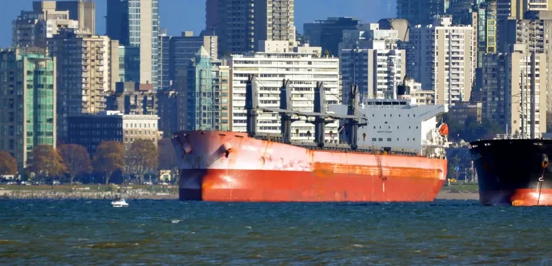 CAPTAIN CHERIF Bulk Carrier IMO 9310678 photo 4