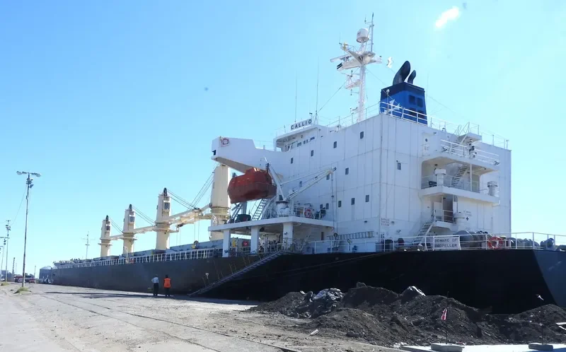 CALLIO Bulk Carrier IMO 9310721 photo 3