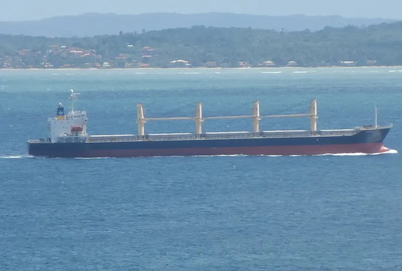 CALLIO Bulk Carrier IMO 9310721 photo 4