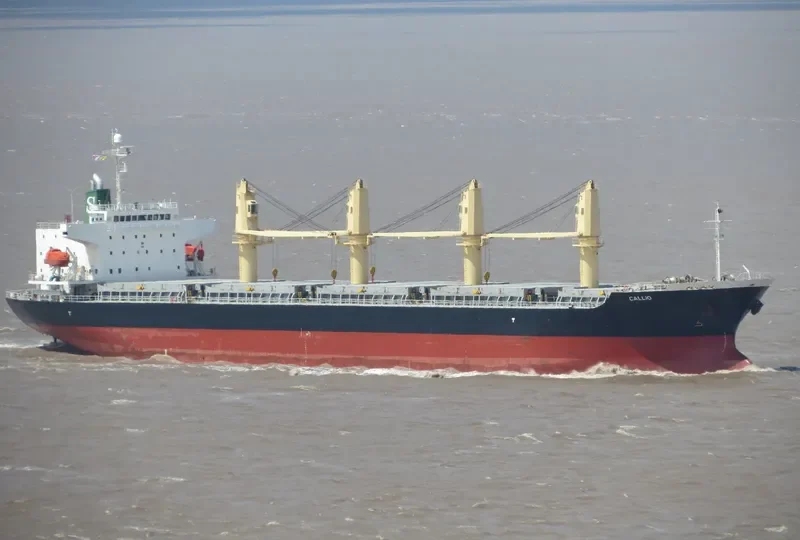 CALLIO Bulk Carrier IMO 9310721 photo 5