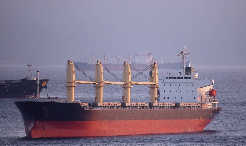 CALLIO Bulk Carrier IMO 9310721 photo 6