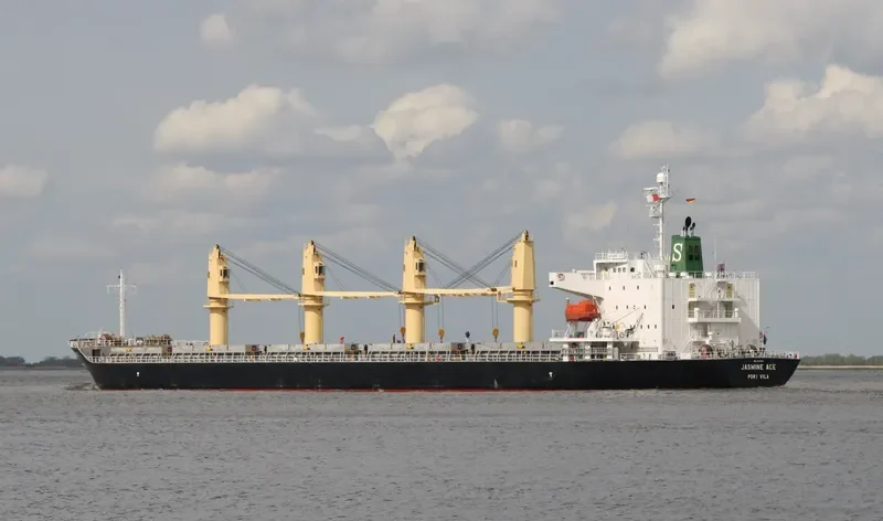 CALLIO Bulk Carrier IMO 9310721 photo 7