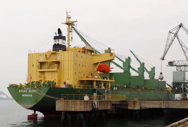 TAN BINH 234 Bulk Carrier IMO 9310733