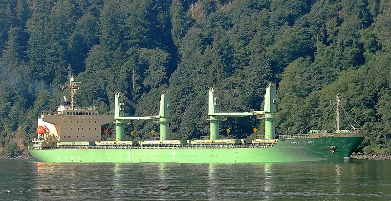 TAN BINH 234 Bulk Carrier IMO 9310733 photo 3
