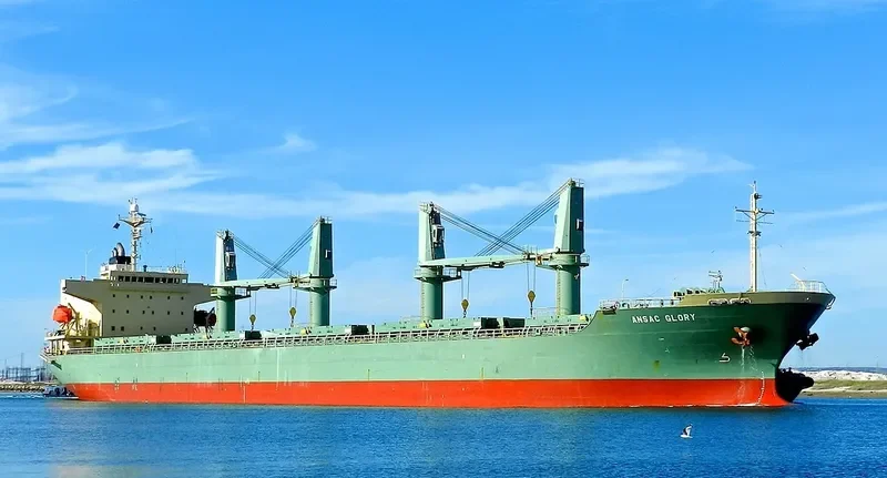 TAN BINH 234 Bulk Carrier IMO 9310733 photo 6
