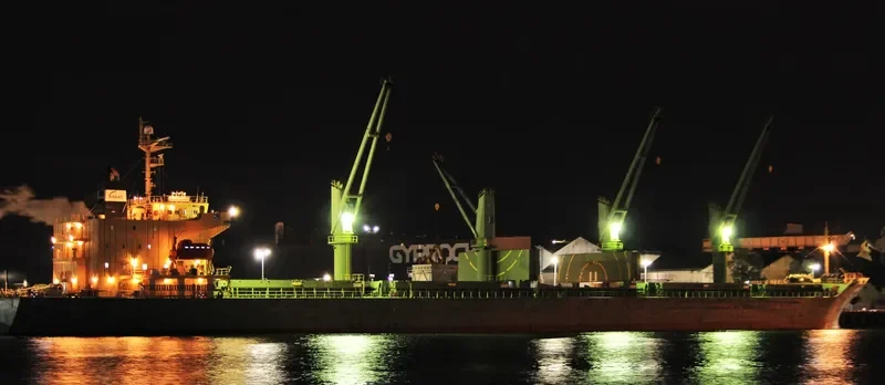 TAN BINH 234 Bulk Carrier IMO 9310733 photo 7