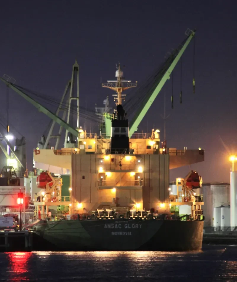 TAN BINH 234 Bulk Carrier IMO 9310733 photo 8