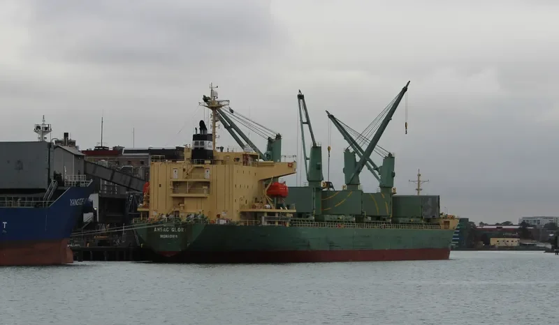 TAN BINH 234 Bulk Carrier IMO 9310733 photo 9