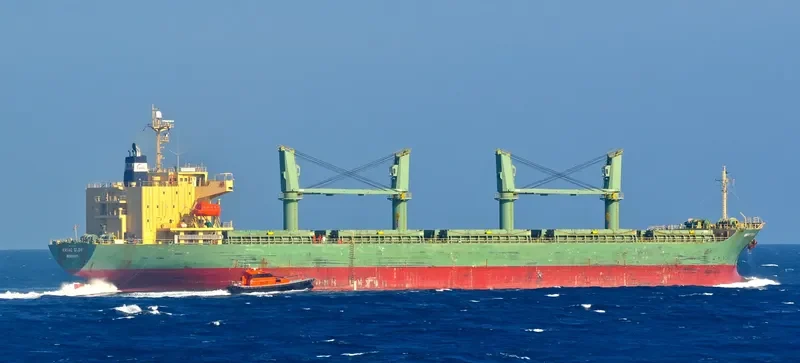 TAN BINH 234 Bulk Carrier IMO 9310733 photo 10
