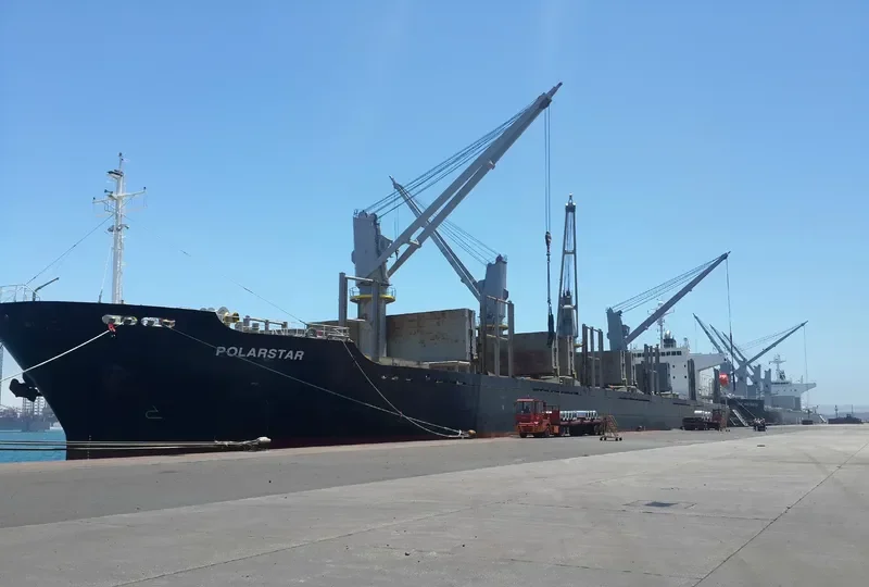 POLARSTAR Bulk Carrier IMO 9310757