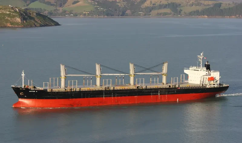 POLARSTAR Bulk Carrier IMO 9310757 photo 2