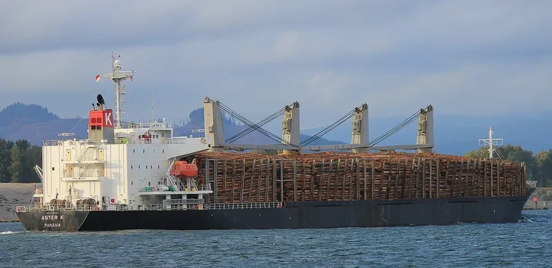 POLARSTAR Bulk Carrier IMO 9310757 photo 3