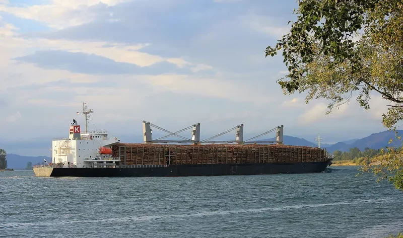 POLARSTAR Bulk Carrier IMO 9310757 photo 4
