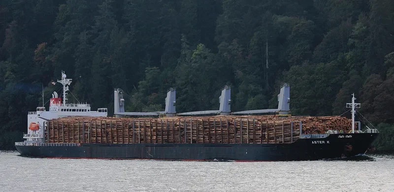 POLARSTAR Bulk Carrier IMO 9310757 photo 5