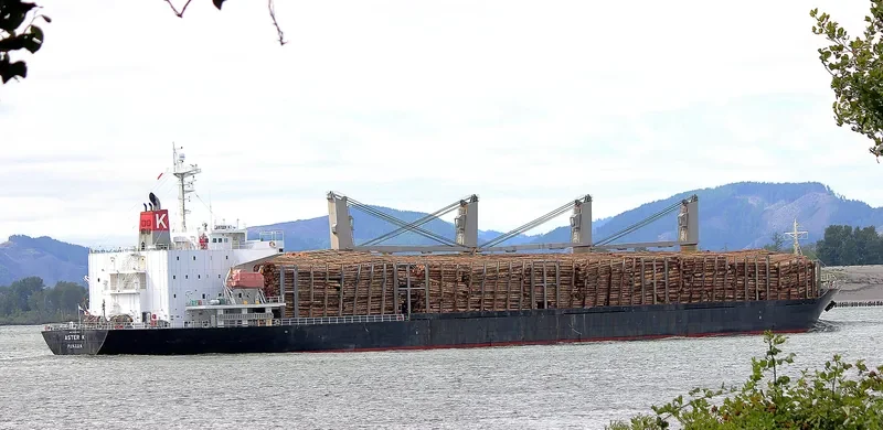 POLARSTAR Bulk Carrier IMO 9310757 photo 7