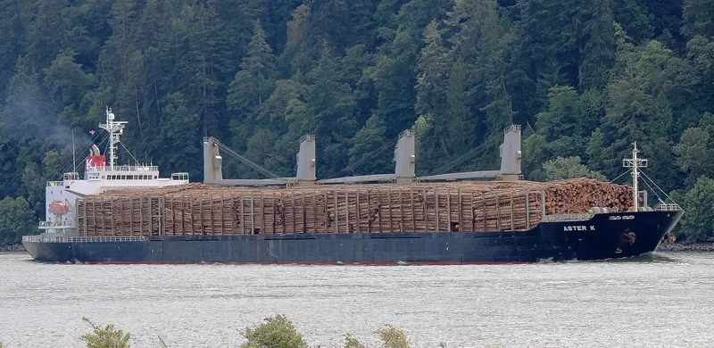 POLARSTAR Bulk Carrier IMO 9310757 photo 8