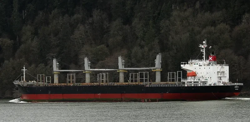 POLARSTAR Bulk Carrier IMO 9310757 photo 9