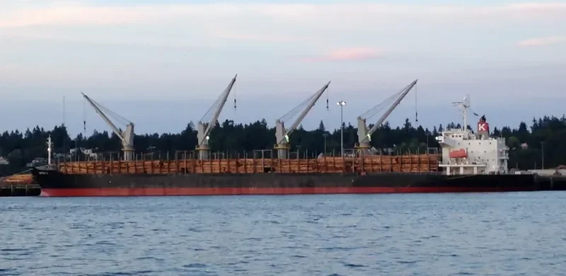 POLARSTAR Bulk Carrier IMO 9310757 photo 10