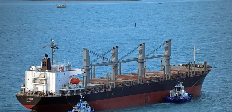 HTK FORTUNE Bulk Carrier IMO 9310769