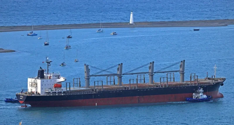 HTK FORTUNE Bulk Carrier IMO 9310769 photo 2