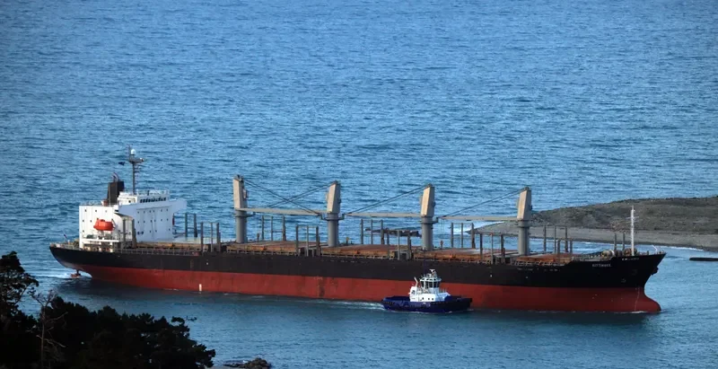 HTK FORTUNE Bulk Carrier IMO 9310769 photo 3