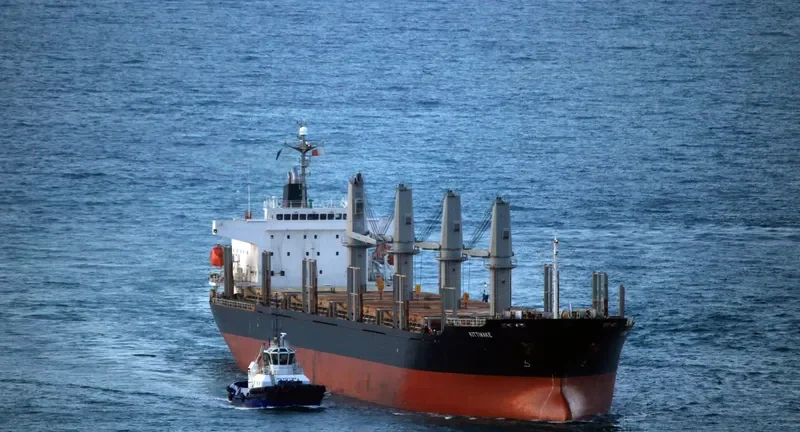 HTK FORTUNE Bulk Carrier IMO 9310769 photo 4