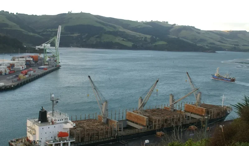 HTK FORTUNE Bulk Carrier IMO 9310769 photo 7