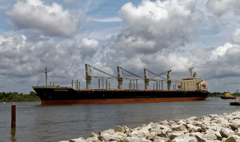OCEAN STAR Bulk Carrier IMO 9310771 photo 4