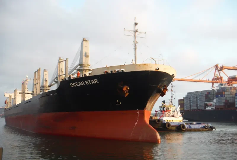 OCEAN STAR Bulk Carrier IMO 9310771 photo 7