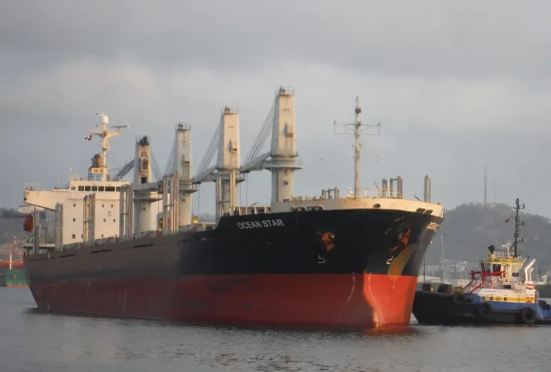 OCEAN STAR Bulk Carrier IMO 9310771 photo 10