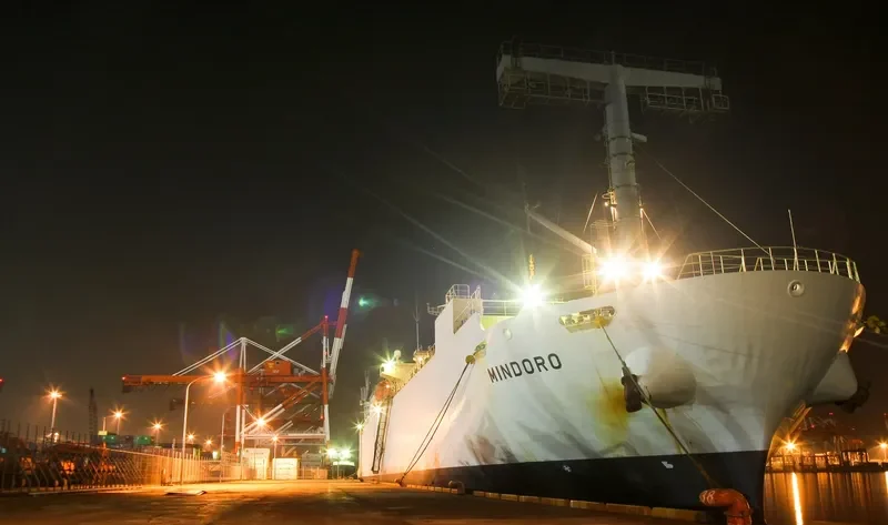 MINDORO General Cargo IMO 9310795 photo 9