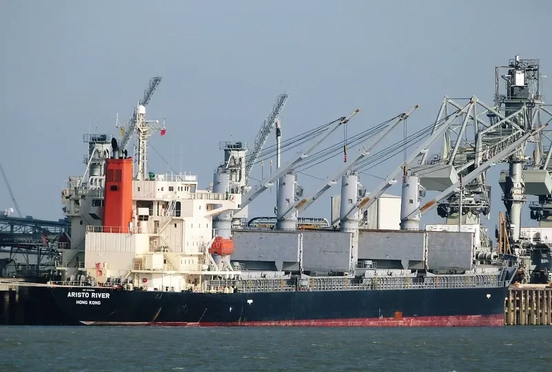 S BRONCO Bulk Carrier IMO 9311050