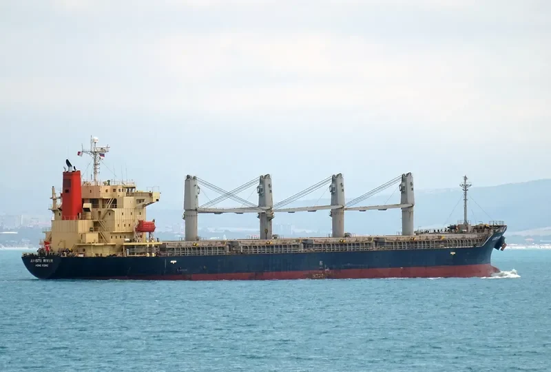 S BRONCO Bulk Carrier IMO 9311050 photo 2