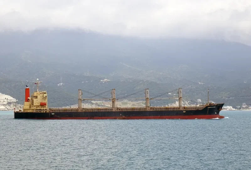 S BRONCO Bulk Carrier IMO 9311050 photo 3