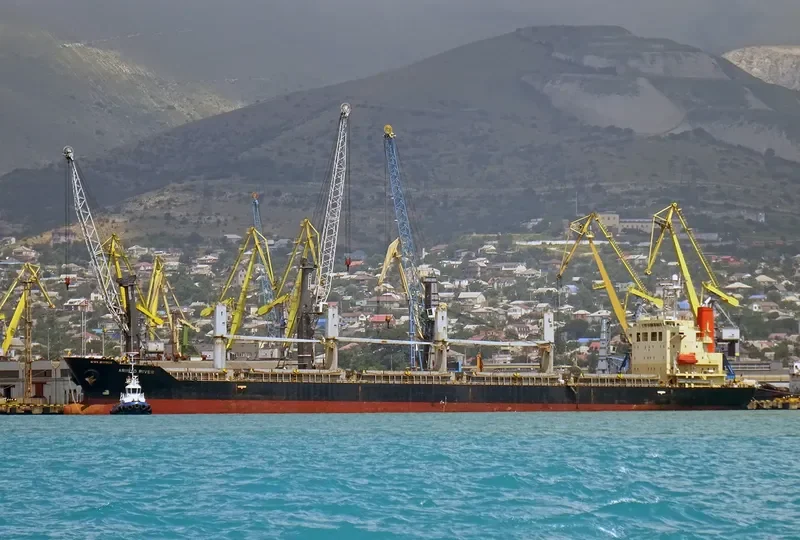 S BRONCO Bulk Carrier IMO 9311050 photo 4