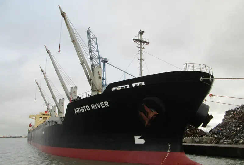 S BRONCO Bulk Carrier IMO 9311050 photo 9