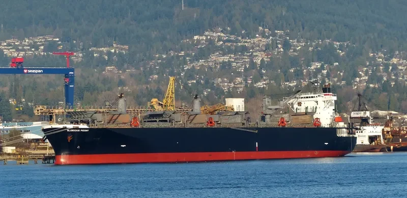 GLORIOUS PEONY Bulk Carrier IMO 9311139